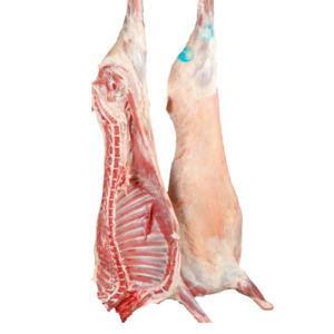 نصف خروف نعيمي (≈ 10–12 كغ)