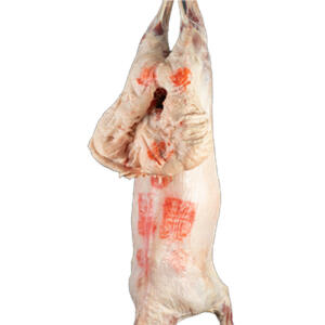 خروف نعيمي كويتي كامل